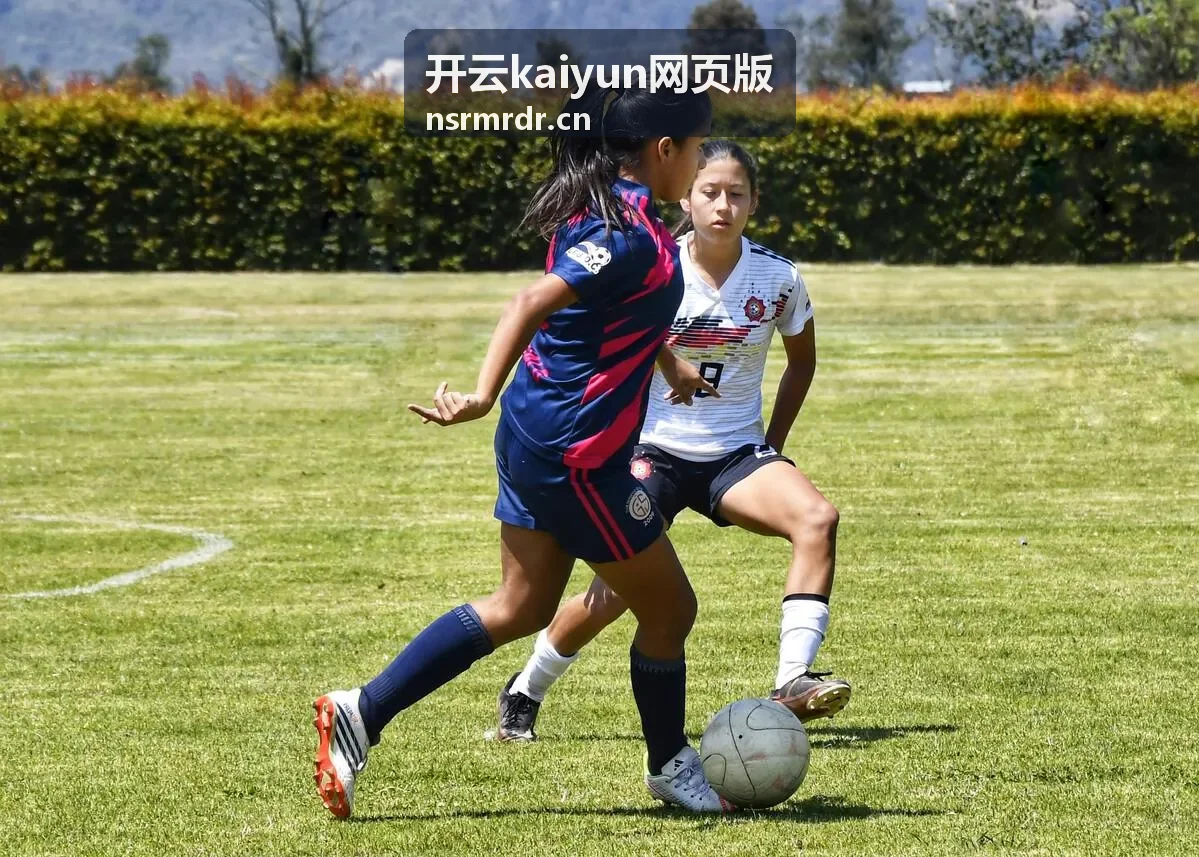 开云kaiyun网页版使用答疑