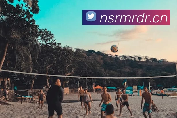 滚球买球的app官网APP 封面图